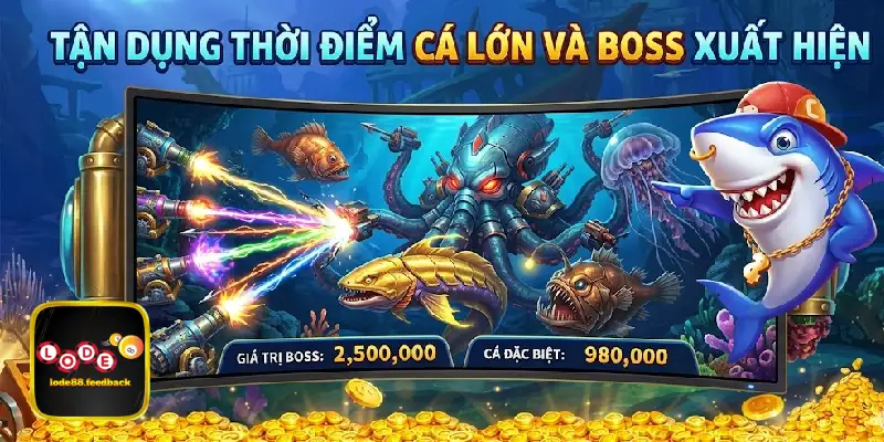 Tận dụng thời điểm cá lớn và Boss xuất hiện